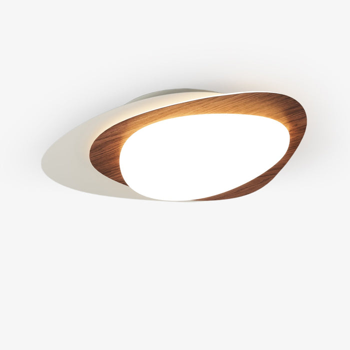 Stellar Orbit Ceiling Light-DWHOME