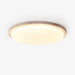 Terra Round Ceiling Light-DWHOME