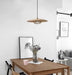Kasa Pendant Lamp-DWHOME