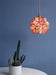 Glass Petal Pendant Light - DWHOME