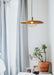 Kasa Pendant Lamp-DWHOME