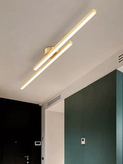 Torhild Twin Rectangular Ceiling Lamp-DWHOME