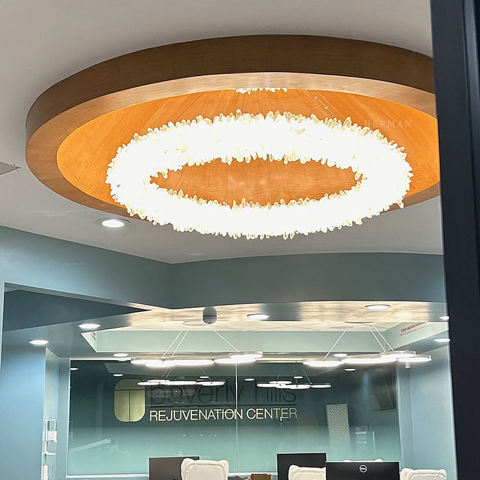 24-47 Inch Round Clear Geode Quartz Crystal Ring Pendant Light Modern Chandelier for Living Room-DWHOME