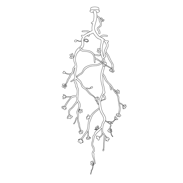 Large Long Branch Flower Chandelier-DWHOME