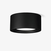 Ethan Surface Ceiling Light-DWHOME