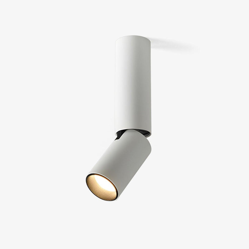 Julian Adjustable Surface Downlight-DWHOME