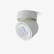Clara Rotating Surface Downlight-DWHOME