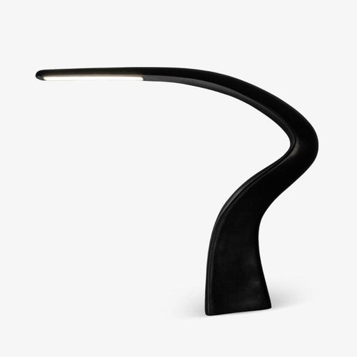 Seraph Curve Floor Lamp - DWHOME