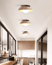 Caelo Ceiling Lamp-DWHOME