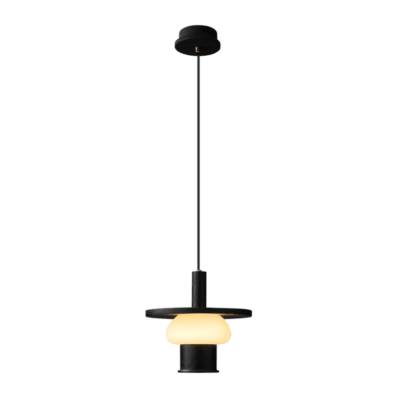 Noka Pendant Light-DWHOME