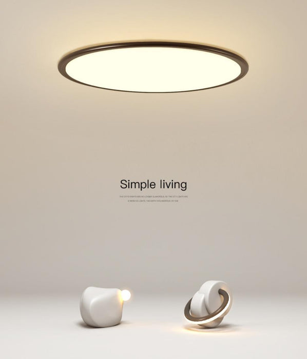 LED Ultra-thin Simple Modern Ceiling Light.