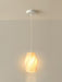 Printing Art Pendant Light - Vakkerlight