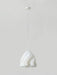 Printing Art Pendant Light-DWHOME