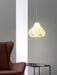 Printing Art Pendant Light-DWHOME