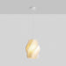 Printing Art Pendant Light-DWHOME
