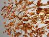 Fiore Crown Chandelier 39''48''60''-DWHOME