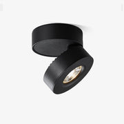 Lyric Adjustable Surface Downlight-DWHOME