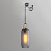 Glass Pendant Swag Light - DWHOME