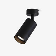 Arlo Accent Spotlight-DWHOME