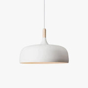 Acorn Pendant Light-DWHOME