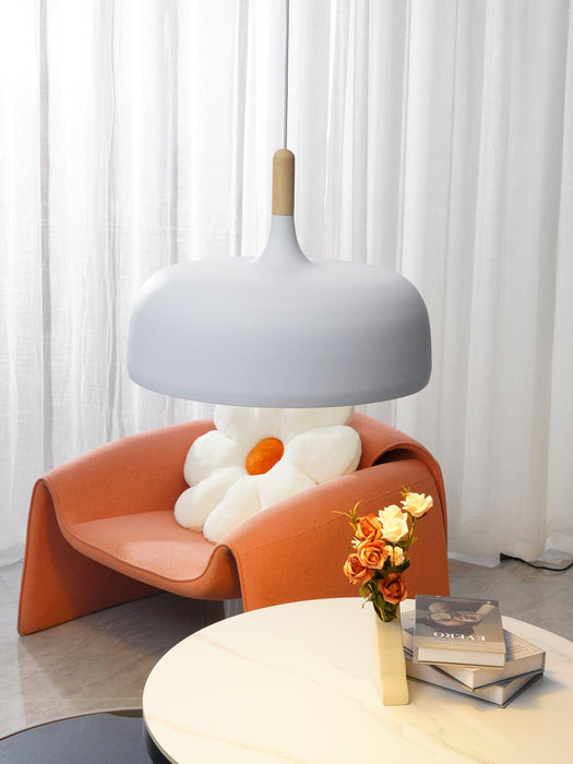 Acorn Pendant Light-DWHOME