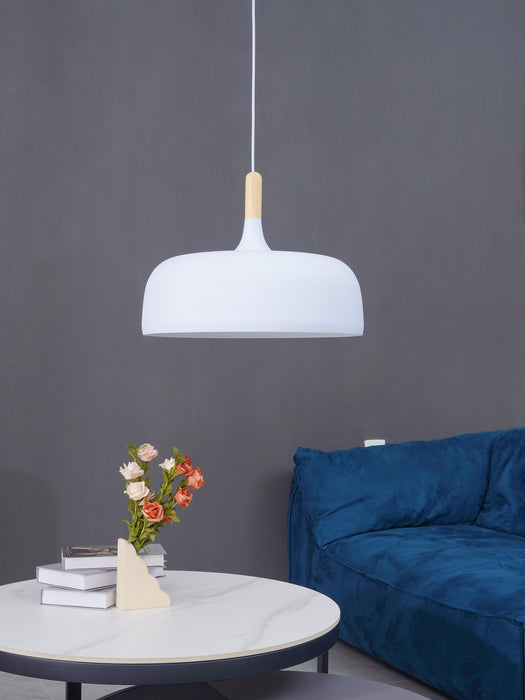 Acorn Pendant Light-DWHOME