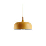 Acorn Pendant Light-DWHOME