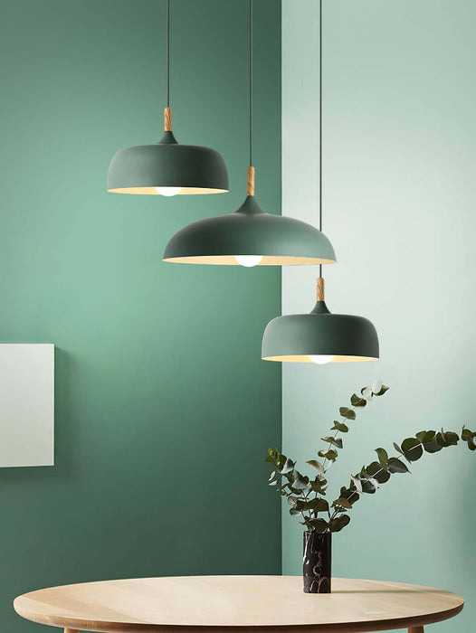 Acorn Pendant Light-DWHOME