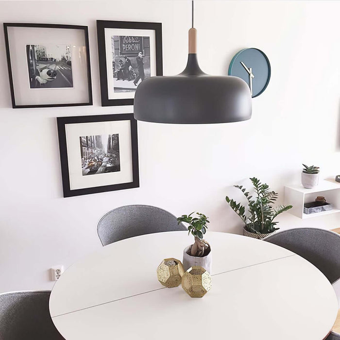 Acorn Pendant Light-DWHOME