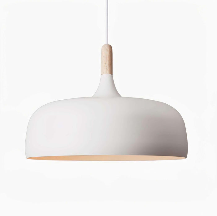 Acorn Pendant Light-DWHOME