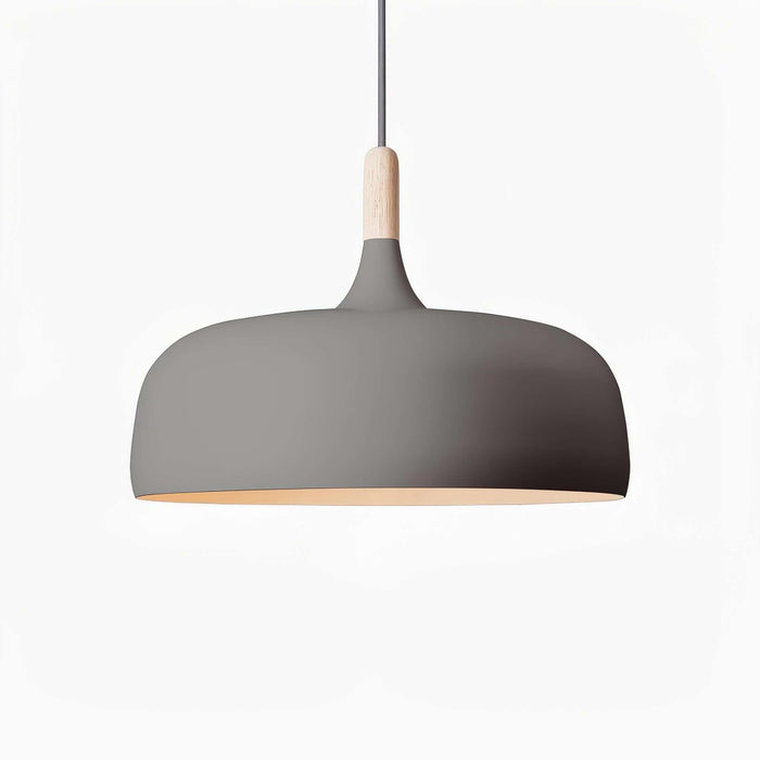 Acorn Pendant Light-DWHOME