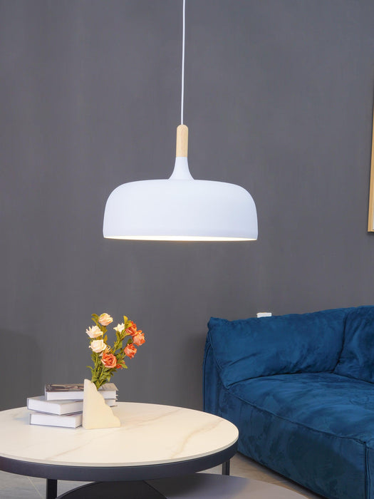 Acorn Pendant Light-DWHOME