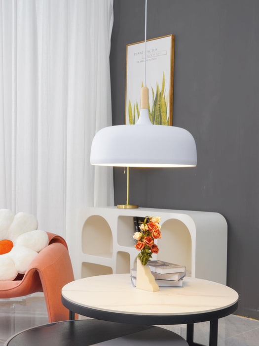 Acorn Pendant Light-DWHOME