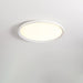 Acrylic Circular LED Ceiling Light.