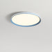 Acrylic Circular LED Ceiling Light.