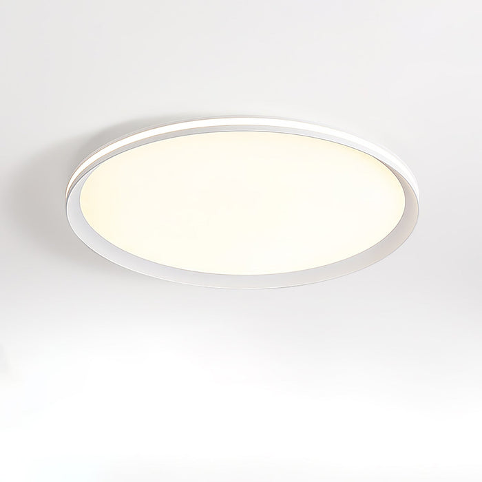 Acrylic Circular LED Ceiling Light.