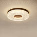 Acrylic Halo Round Ceiling Light.