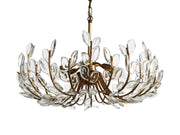 Adela 6 Light Chandelier-DWHOME