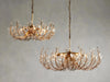 Adela 8 Light Chandelier-DWHOME