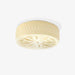 Adler Ceiling Light - DWHOME