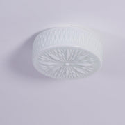 Adler Ceiling Light-DWHOME