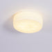 Adler Ceiling Light - DWHOME