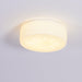 Adler Ceiling Light - DWHOME