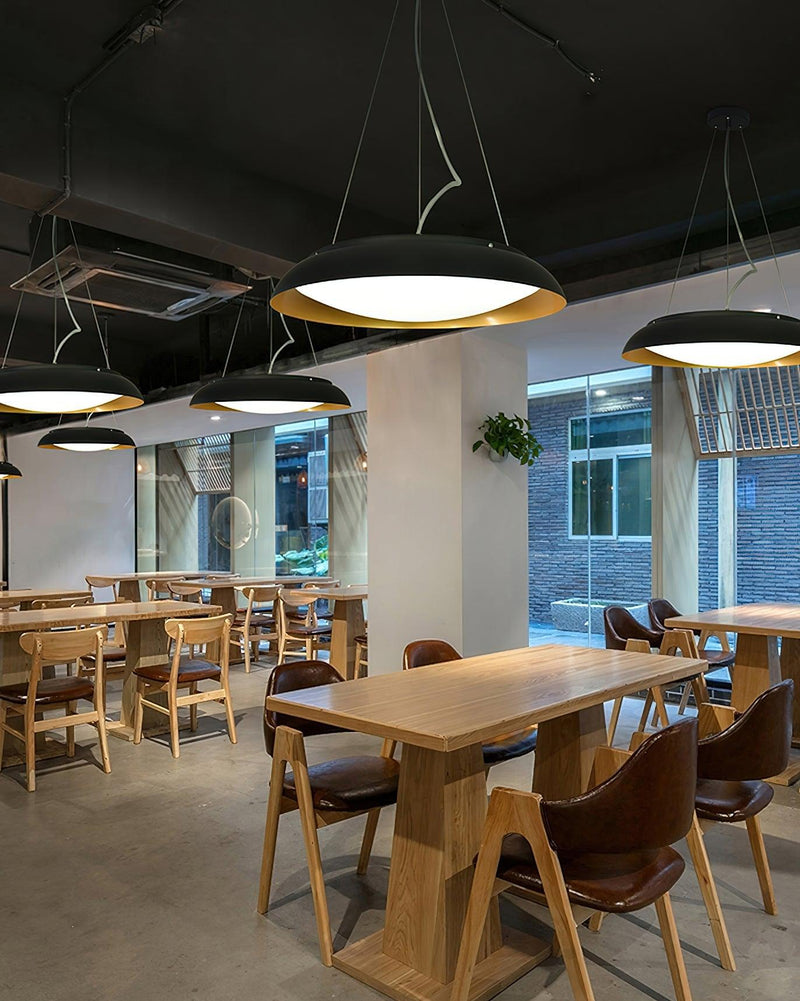 Aero Pendant Light-DWHOME