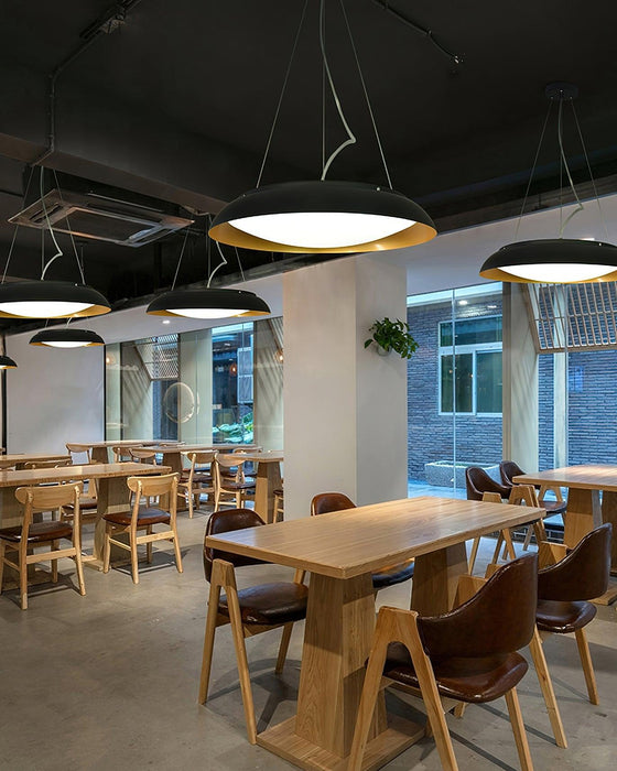 Aero Pendant Light-DWHOME