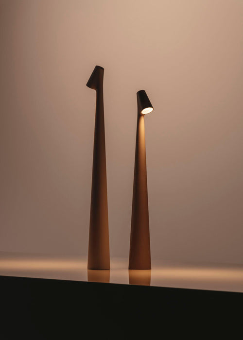 Africa Portable Table Lamp-DWHOME