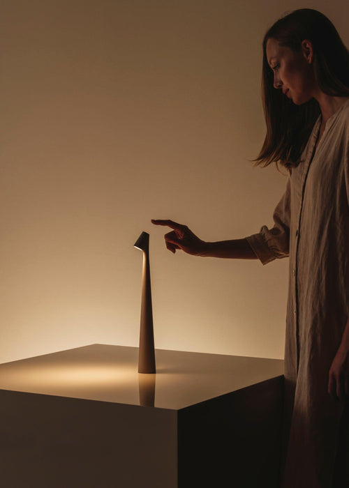 Africa Portable Table Lamp-DWHOME