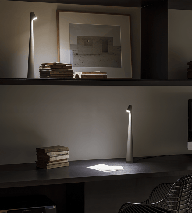 Africa Portable Table Lamp-DWHOME