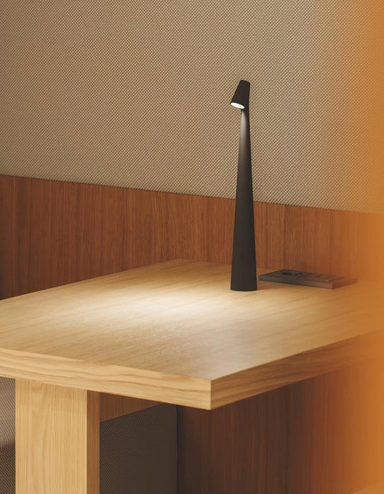 Africa Portable Table Lamp-DWHOME