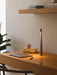 Africa Portable Table Lamp-DWHOME